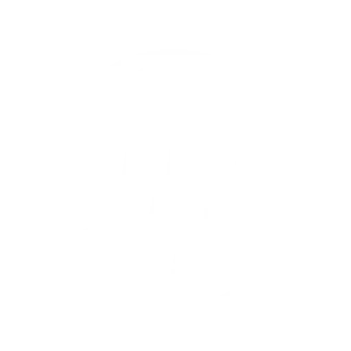 light logo